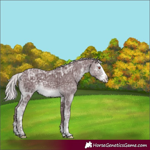 Horse Color:Chocolate Silver Black Chinchilla Ice Sabino 