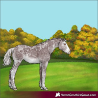 Horse Color:Chocolate Silver Black Chinchilla Ice Sabino
