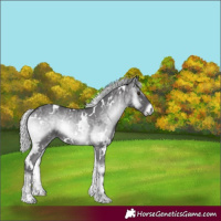 Horse Color:White Spotted Silver Smoky Blue Onyx Chinchilla Ice