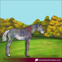 Horse Color:Nacre Silver Black Chinchilla 