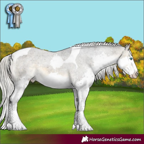 Horse Color:Silver Buckskin Mushroom Splash Tobiano Appaloosa 
