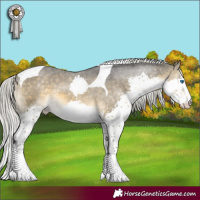 Horse Color:Silver Buckskin Mushroom Splash Tobiano Appaloosa 