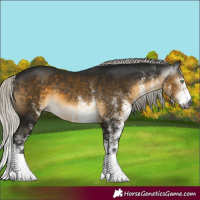 Horse Color:Gray White Spotted Silver Buckskin Mushroom