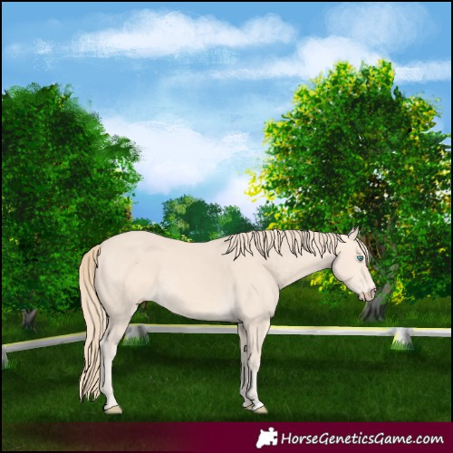 Horse Color:Perlino 