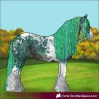 Horse Color:Painted Watercolor White Spotted Chocolate Brown Ice Tobiano Appaloosa 