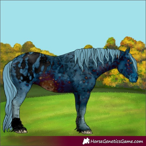 Horse Color:Unknown 
