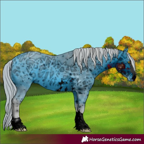 Horse Color:Unknown 
