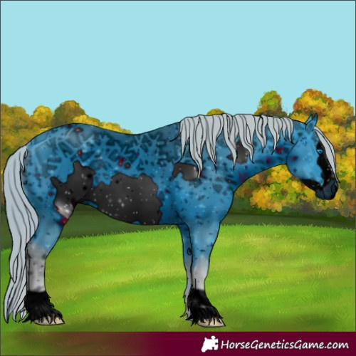 Horse Color:Unknown 