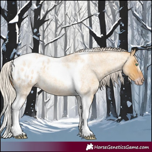 Horse Color:Gray Silver Amber Cream Champagne Roan Dun Splash Tobiano Frame Appaloosa Rabicano 