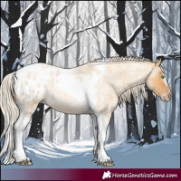 Horse Color:Gray Silver Amber Cream Champagne Roan Dun Splash Tobiano Frame Appaloosa Rabicano 