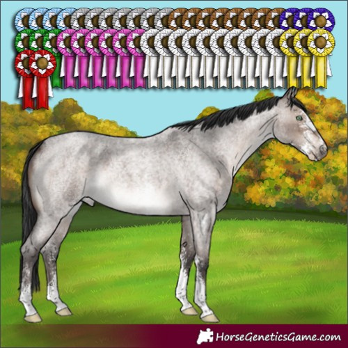 Horse Color:Brown Roan Dun Mushroom Sabino 
