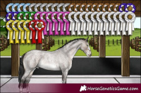 Horse Color:Brown Roan Dun Mushroom Sabino 