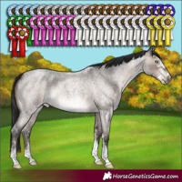 Horse Color:Brown Roan Dun Mushroom Sabino 