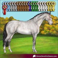 Horse Color:Brown Roan Dun Mushroom Sabino 