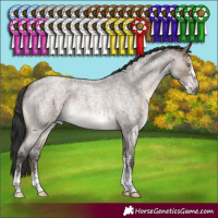 Horse Color:Brown Roan Dun Mushroom Sabino 