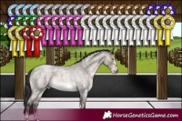 Horse Color:Brown Roan Dun Mushroom Sabino 