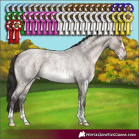 Horse Color:Brown Roan Dun Mushroom Sabino 