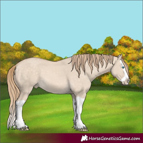 Horse Color:Perlino Dun Splash 