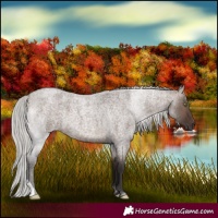 Horse Color:Silver Brown Roan Dun 