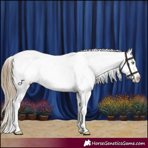 Horse Color:Smoky Black Pearl Sabino 