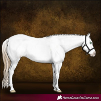 Horse Color:Smoky Black Pearl Sabino
