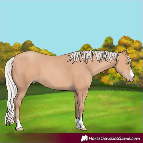 Horse Color:Silver Amber Champagne 