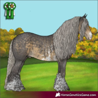 Horse Color:Silver Smoky Black Sabino 