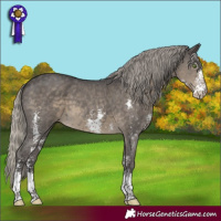 Horse Color:Silver Smoky Black Sabino 