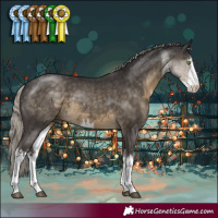 Horse Color:White Spotted Silver Smoky Black