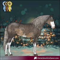 Horse Color:White Spotted Silver Smoky Black