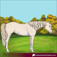 Horse Color:Perlino