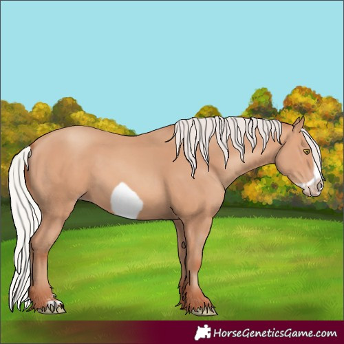 Horse Color:Silver Amber Champagne Frame 