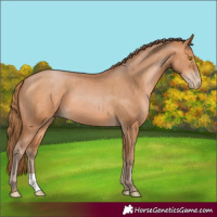Horse Color:Brown Pearl