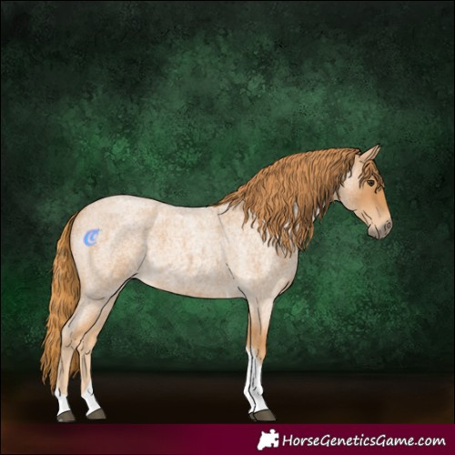 Horse Color:Red Roan Tobiano 