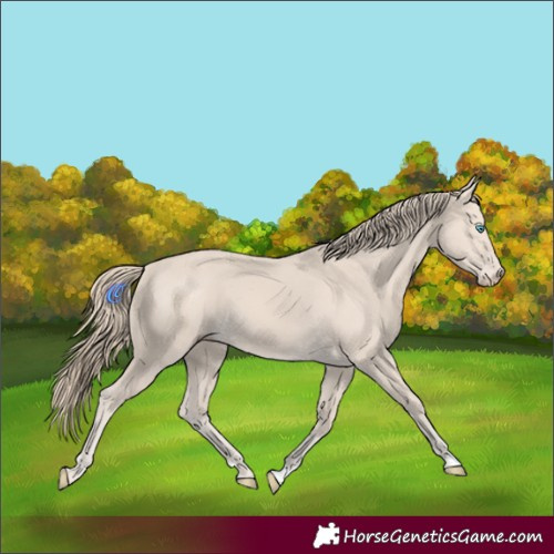 Horse Color:Smoky Creme 