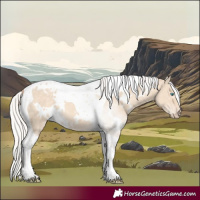 Horse Color:White Spotted Silver Perlino Dun Tobiano 