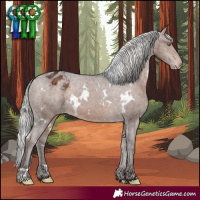 Horse Color:White Spotted Silver Brown Appaloosa 