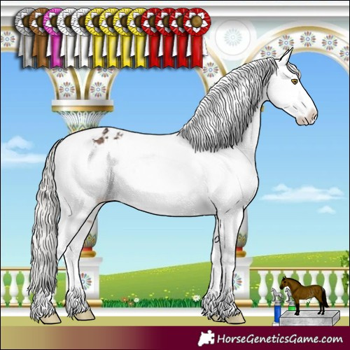 Horse Color:Silver Brown Tobiano Appaloosa Rabicano 