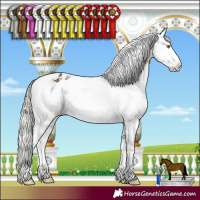 Horse Color:Silver Brown Tobiano Appaloosa Rabicano 