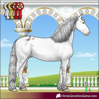 Horse Color:Silver Brown Tobiano Appaloosa Rabicano 