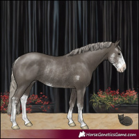 Horse Color:Silver Smoky Black Sabino Rabicano 
