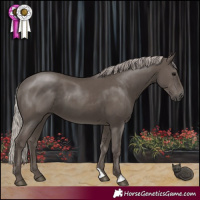 Horse Color:Silver Black 