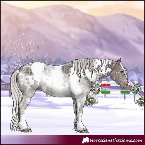 Horse Color:White Spotted Silver Brown Ice 