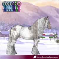 Horse Color:White Spotted Silver Brown Ice