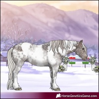 Horse Color:White Spotted Silver Brown Ice