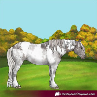 Horse Color:White Spotted Silver Brown Ice 