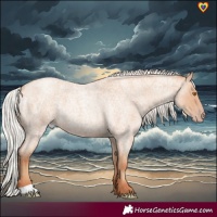 Horse Color:Silver Classic Champagne Roan 
