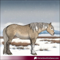 Horse Color:White Spotted Silver Smoky Grullo Sabino 