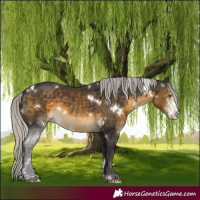 Horse Color:White Spotted Silver Buckskin Sabino
