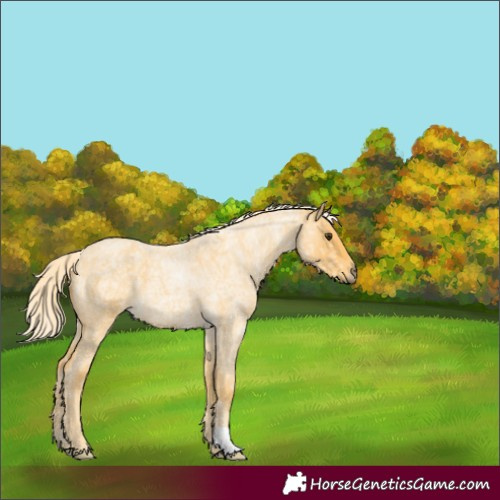 Horse Color:Palomino Ice Roan 